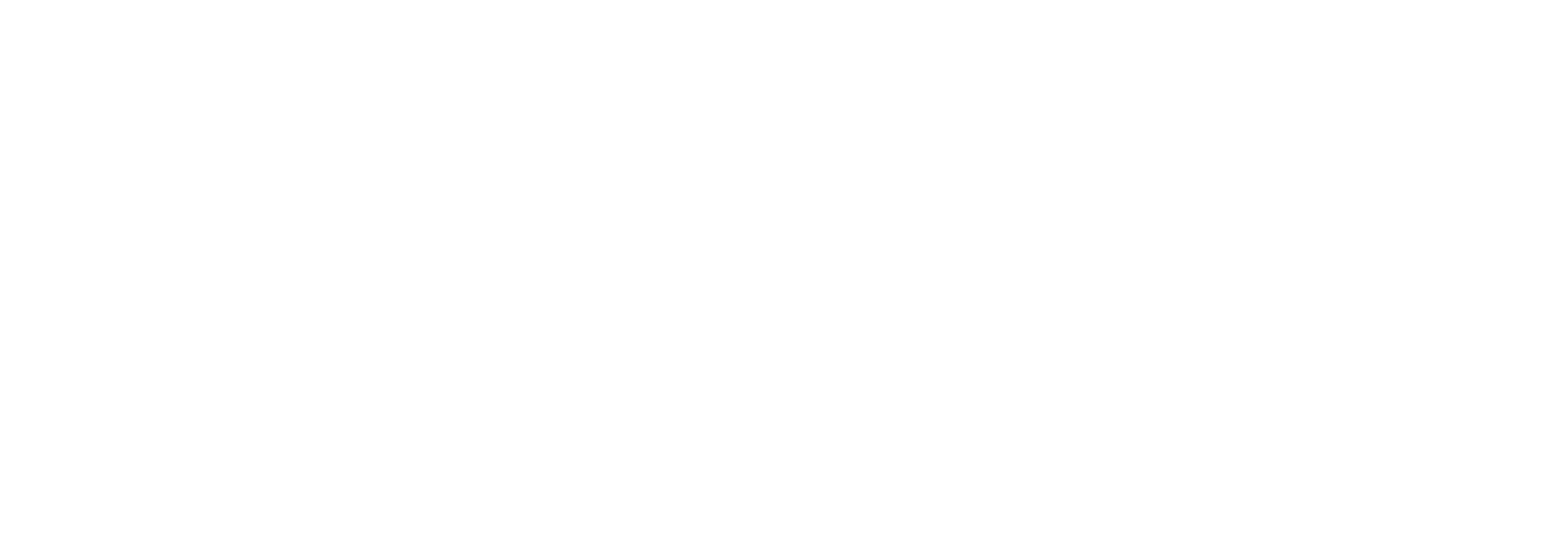 theme-sticky-logo-alt